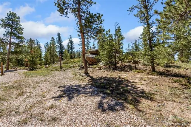 11 Inca Court Red Feather Lakes, CO 80545