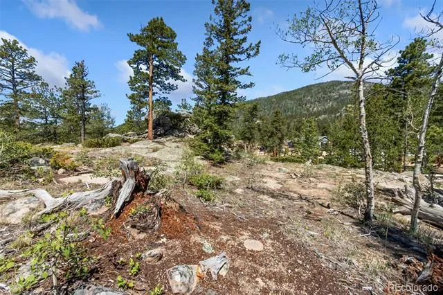 11 Inca Court Red Feather Lakes, CO 80545
