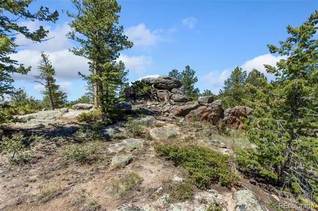 11 Inca Court Red Feather Lakes, CO 80545