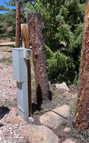 11 Inca Court Red Feather Lakes, CO 80545