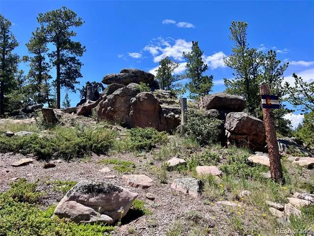 11 Inca Court Red Feather Lakes, CO 80545