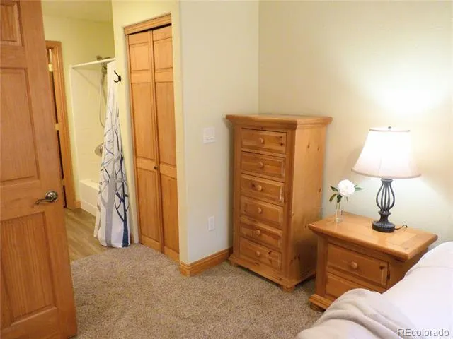 22714 US Highway 6 #5945 Dillon, CO 80435