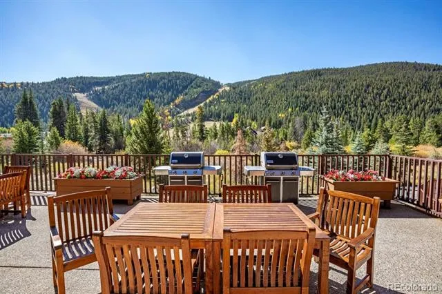22714 US Highway 6 #5945 Dillon, CO 80435