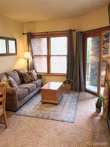 22714 US Highway 6 #5945 Dillon, CO 80435