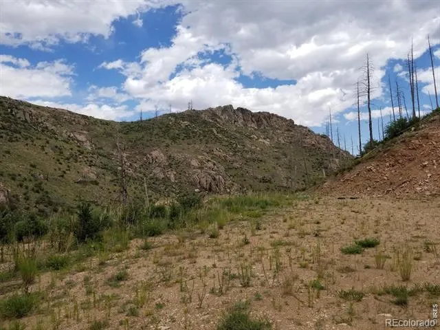 151 Black Mountain Court Livermore, CO 80536
