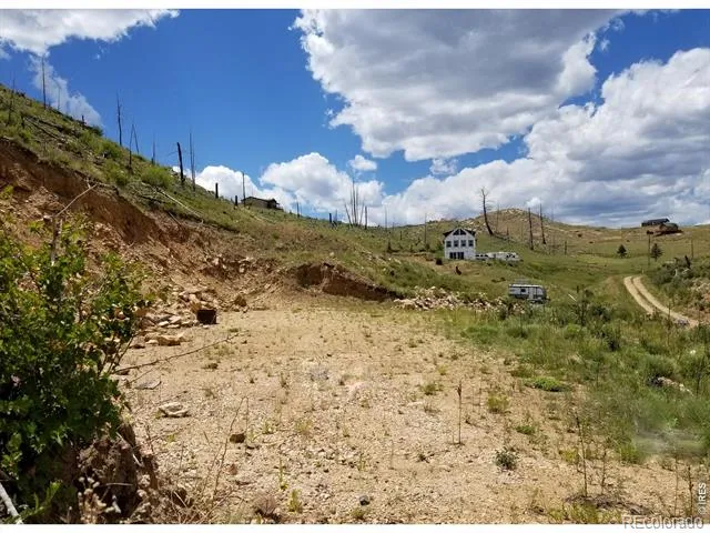 151 Black Mountain Court Livermore, CO 80536