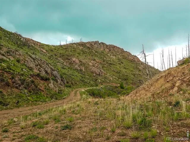 151 Black Mountain Court Livermore, CO 80536