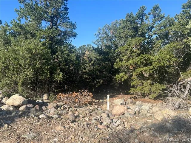 3587 3588 Alfresco Way Crestone, CO 81131