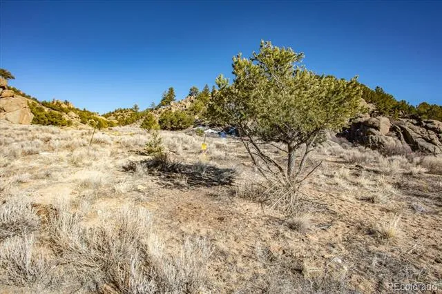 32940 County Road 371 Buena Vista, CO 81211