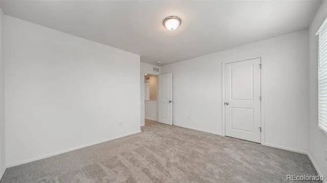 4061 Zebrawood Lane Johnstown, CO 80534