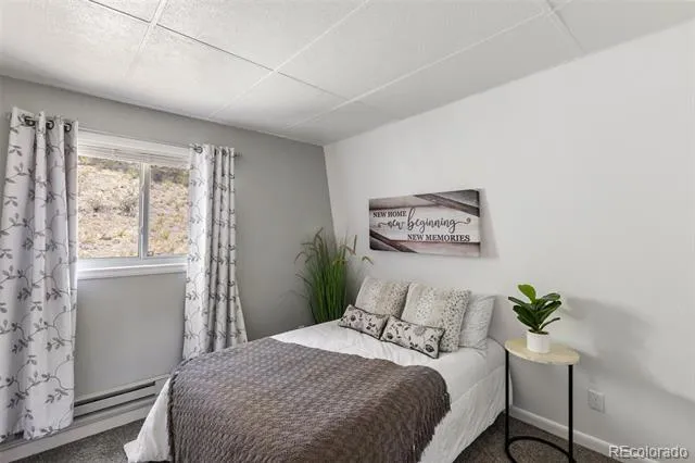 301 Circle Drive Florissant, CO 80816