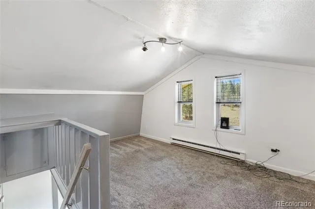 301 Circle Drive Florissant, CO 80816