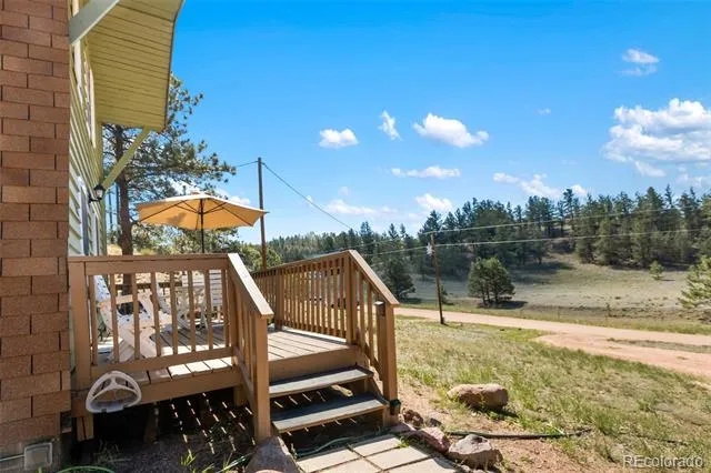 301 Circle Drive Florissant, CO 80816