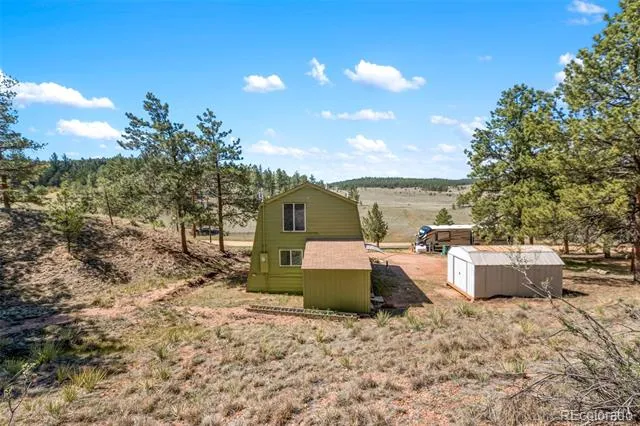 301 Circle Drive Florissant, CO 80816