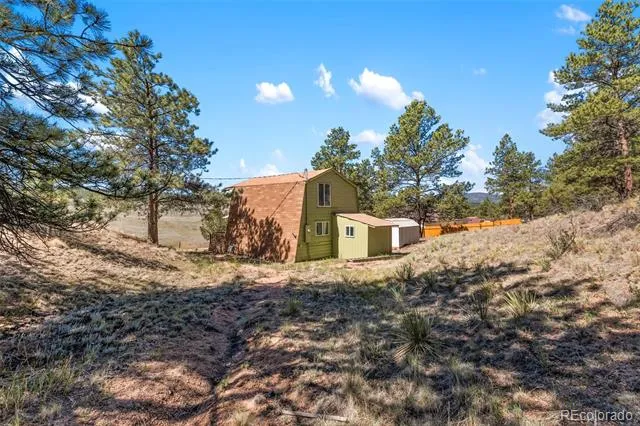 301 Circle Drive Florissant, CO 80816