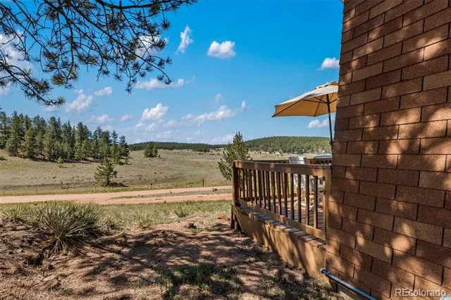 301 Circle Drive Florissant, CO 80816