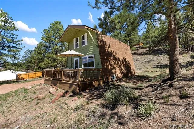 301 Circle Drive Florissant, CO 80816