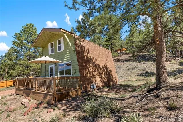 301 Circle Drive Florissant, CO 80816