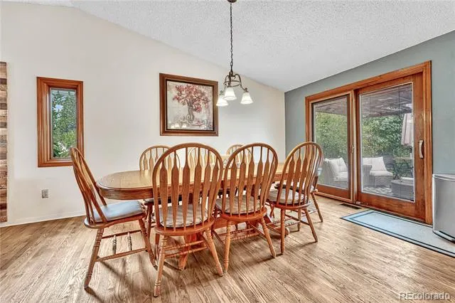 473 S Larkspur Drive Castle Rock, CO 80104
