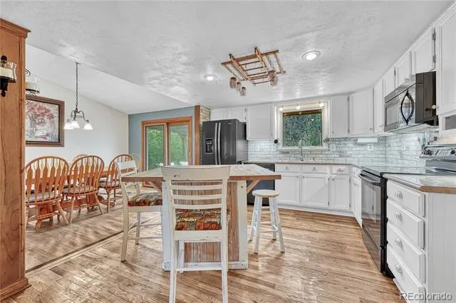 473 S Larkspur Drive Castle Rock, CO 80104