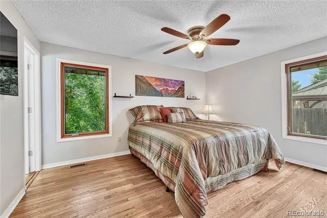 473 S Larkspur Drive Castle Rock, CO 80104