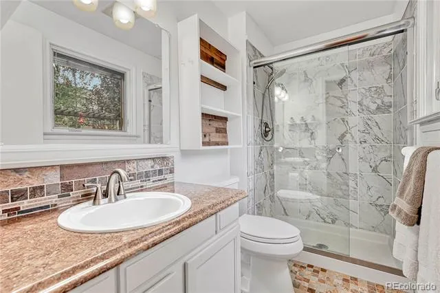 473 S Larkspur Drive Castle Rock, CO 80104