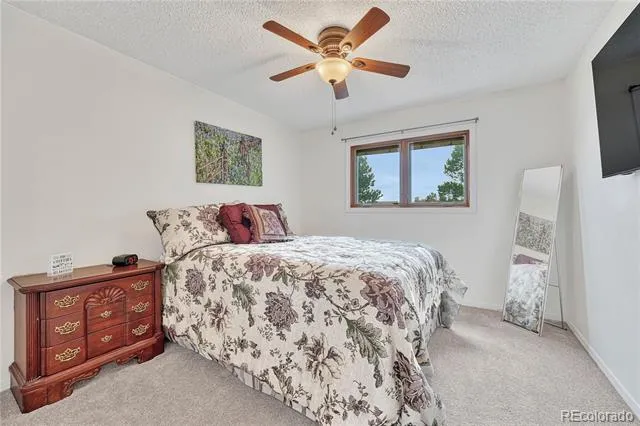 473 S Larkspur Drive Castle Rock, CO 80104