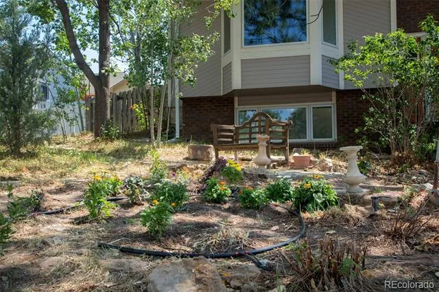 473 S Larkspur Drive Castle Rock, CO 80104