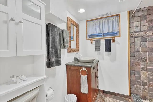 473 S Larkspur Drive Castle Rock, CO 80104
