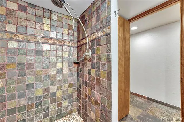 473 S Larkspur Drive Castle Rock, CO 80104