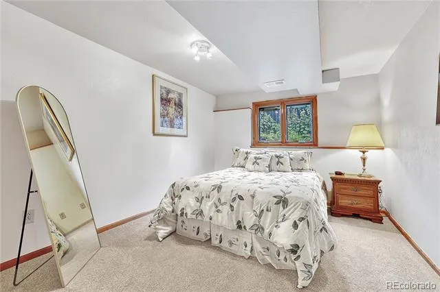 473 S Larkspur Drive Castle Rock, CO 80104