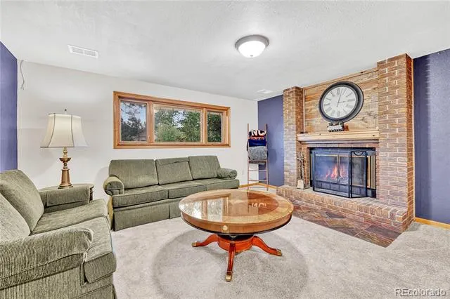 473 S Larkspur Drive Castle Rock, CO 80104