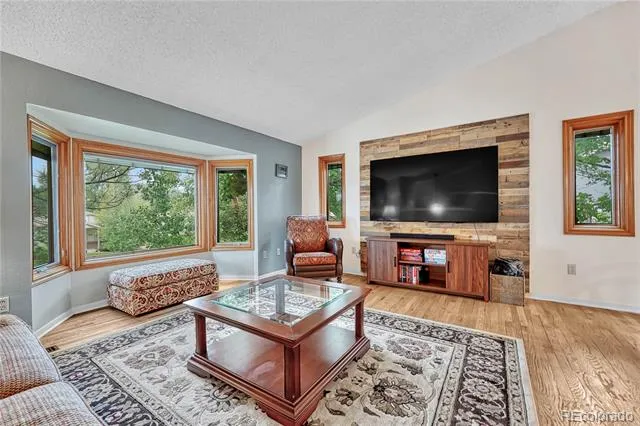 473 S Larkspur Drive Castle Rock, CO 80104
