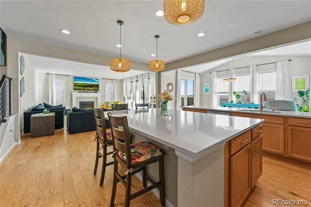 19240 E 96th Place Commerce City, CO 80022