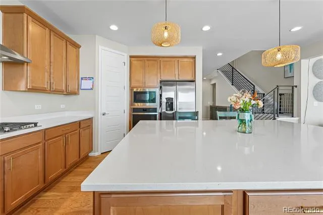 19240 E 96th Place Commerce City, CO 80022