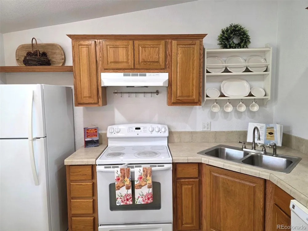 10216 Rodeo Park Drive Poncha Springs, CO 81242
