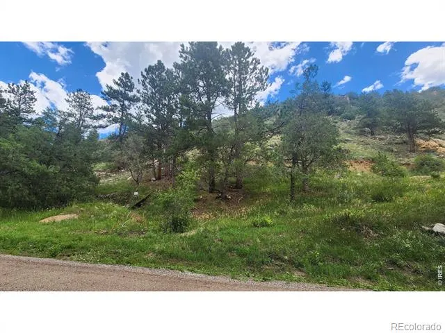 0 Streamside Drive Glen Haven, CO 80532