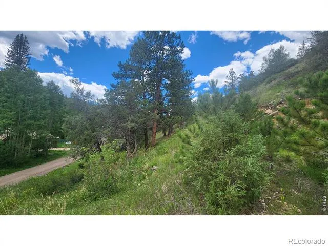 0 Streamside Drive Glen Haven, CO 80532