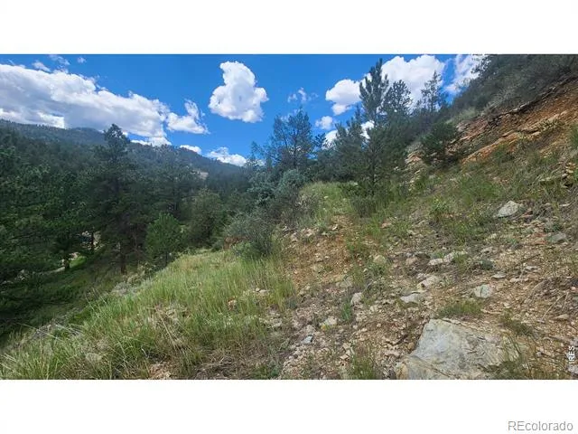 0 Streamside Drive Glen Haven, CO 80532