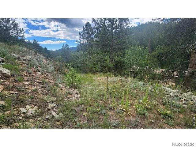 0 Streamside Drive Glen Haven, CO 80532