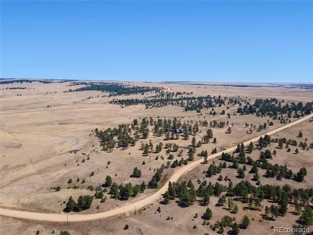 32030 Cattle Circle Ramah, CO 80832