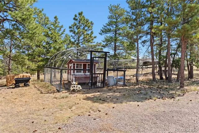 32030 Cattle Circle Ramah, CO 80832