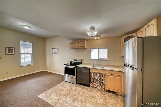205 E 11th Street Leadville, CO 80461