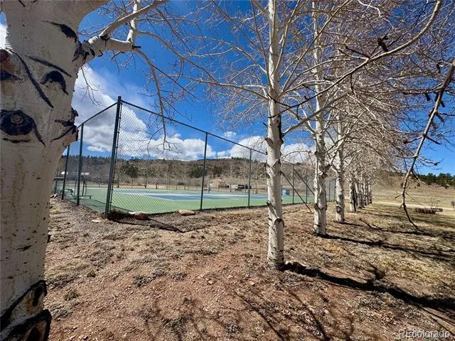 62 Spike Way Hartsel, CO 80449