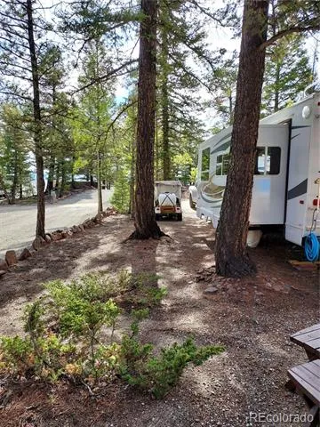 62 Spike Way Hartsel, CO 80449