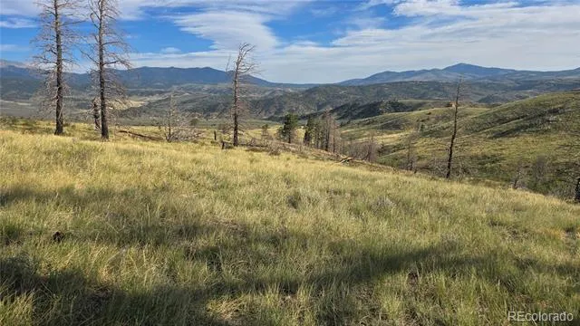 Lot 7719 Hallstein Road Fort Garland, CO 81133