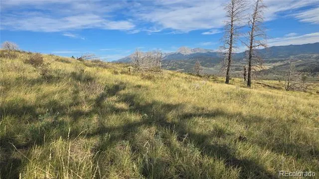 Lot 7719 Hallstein Road Fort Garland, CO 81133