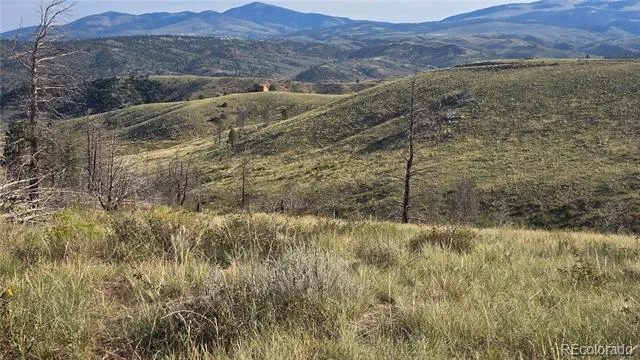 Lot 7719 Hallstein Road Fort Garland, CO 81133