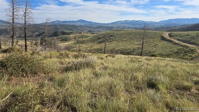 Lot 7719 Hallstein Road Fort Garland, CO 81133