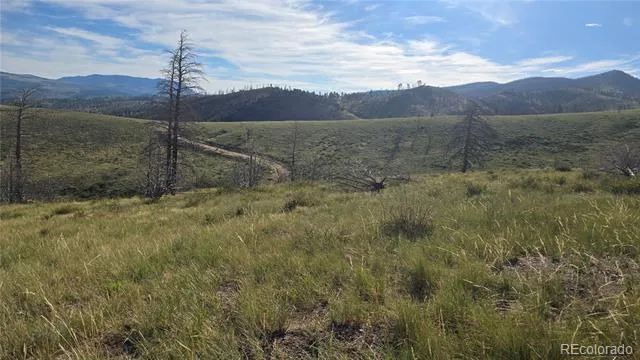 Lot 7719 Hallstein Road Fort Garland, CO 81133